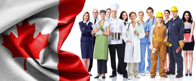 Top Các Ngành Dễ Định Cư Khi Du Học Canada Được Sinh Viên Quốc Tế Chọn Nhiều Nhất